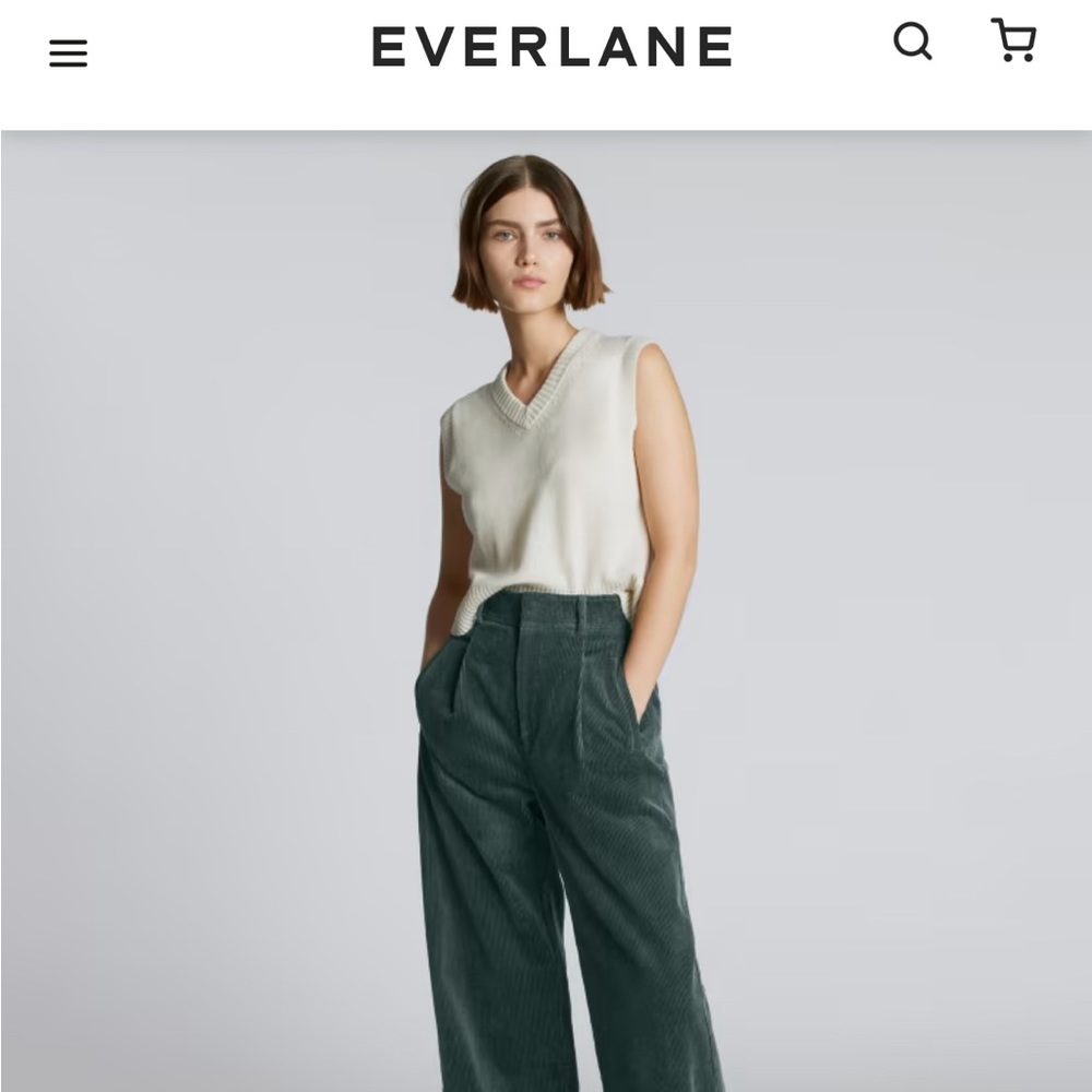 Everlane way high drape pant